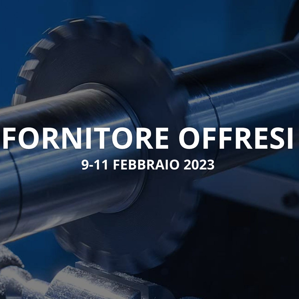 Fornitore Offresi