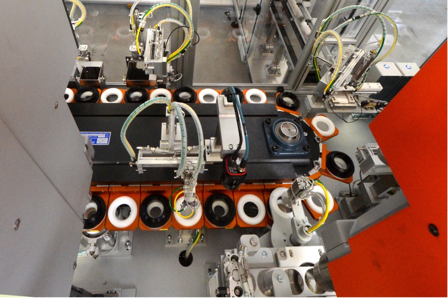 ITALPLANT: INNOVATIVE LÖSUNGEN FÜR DEN MEDIZINISCHEN SEKTOR