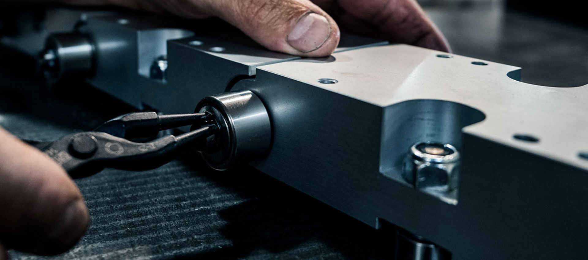 Italplant, patents and certified quality: the value of our innovation